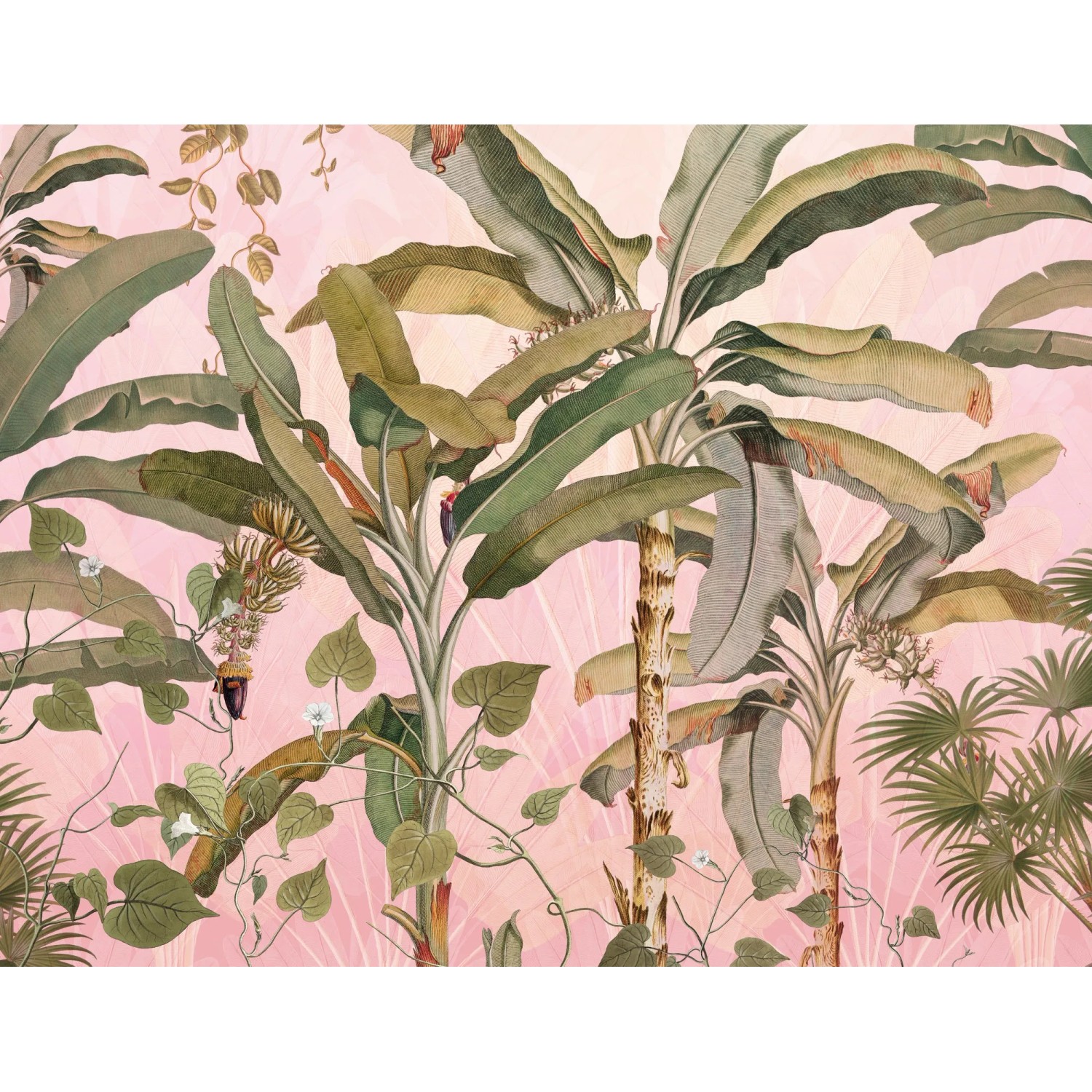 E-shop Komar Vliesová fototapeta Plantation 350 x 270 cm