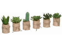 Mica Decorations Umelá rastlina výber sukulentov v kvetináči, zelená, pr. 5 x 12