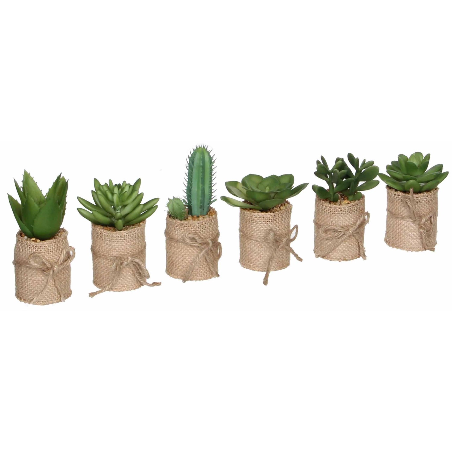 E-shop Mica Decorations Umelá rastlina výber sukulentov v kvetináči, zelená, pr. 5 x 12