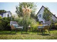 Zostava záhradného nábytku Aliceville, polyratan, zelená/sivá, 3-dielna