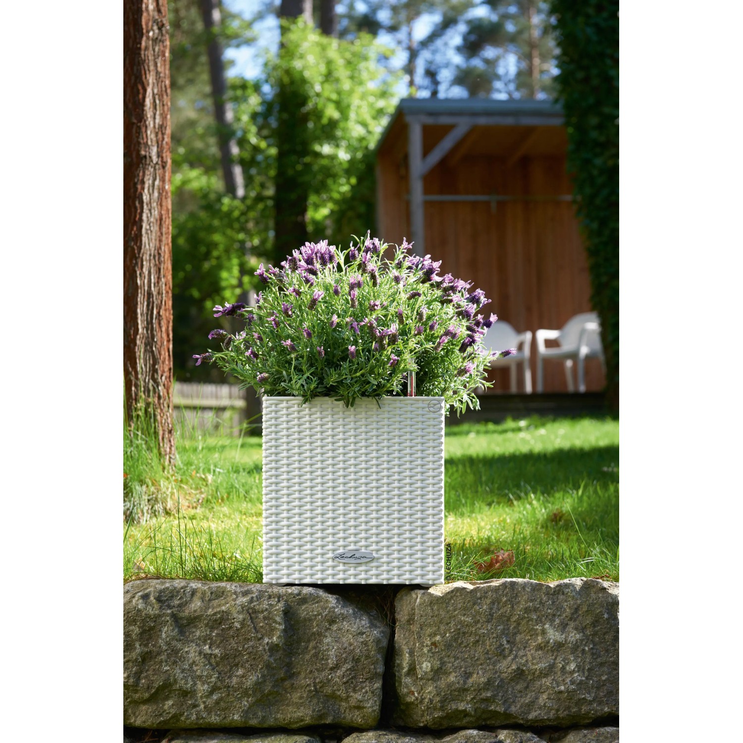 Pot De Fleur Lechuza Cube Cottage 50 - Kit Complet, Gris Clair - Gamm vert Pot De Fleur Lechuza Cube Cottage 50 - Kit Complet, Gris Clair - Gamm vert