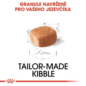 Royal Canin Dachshund Puppy suché krmivo, jedna granula pre šteniatka jazvečíka.