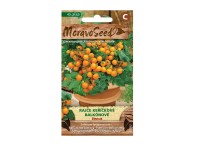 MoravoSeed Rajčiak kríčkový balkónový VENUS oranžový