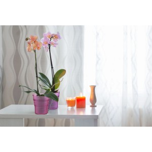 Dve orchidey v kvetináči, ružová a oranžová, na stole so sviečkami.