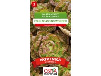 Aros Semená Šalát hlávk. 4 Seasons Wonder (Lactuca capitata)