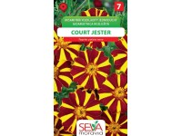 Semienka Aksamietnica rozložitá Court Jester (Tagetes patula nana double)