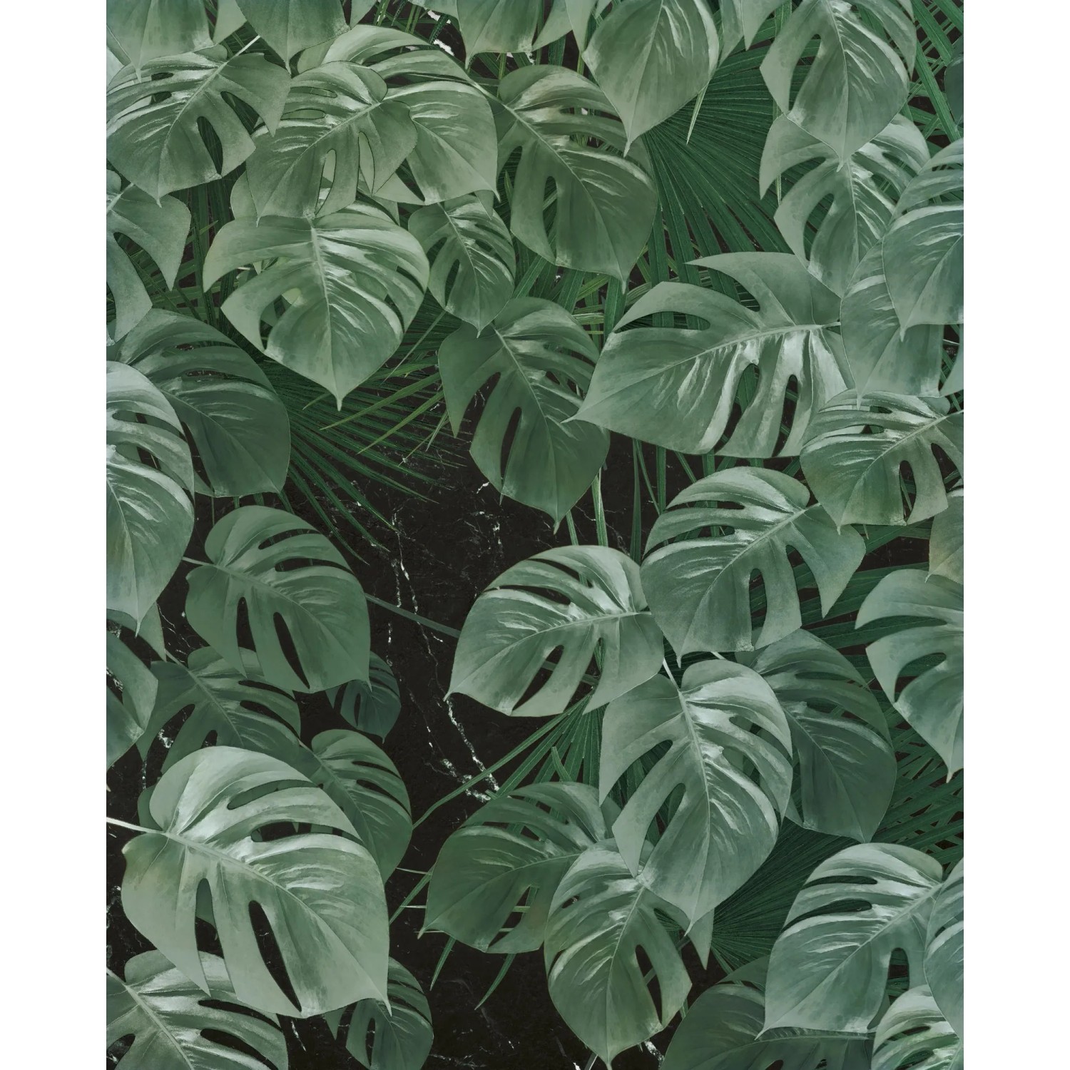 E-shop Komar Vliesová fototapeta Monstera on Marble 200 x 250 cm