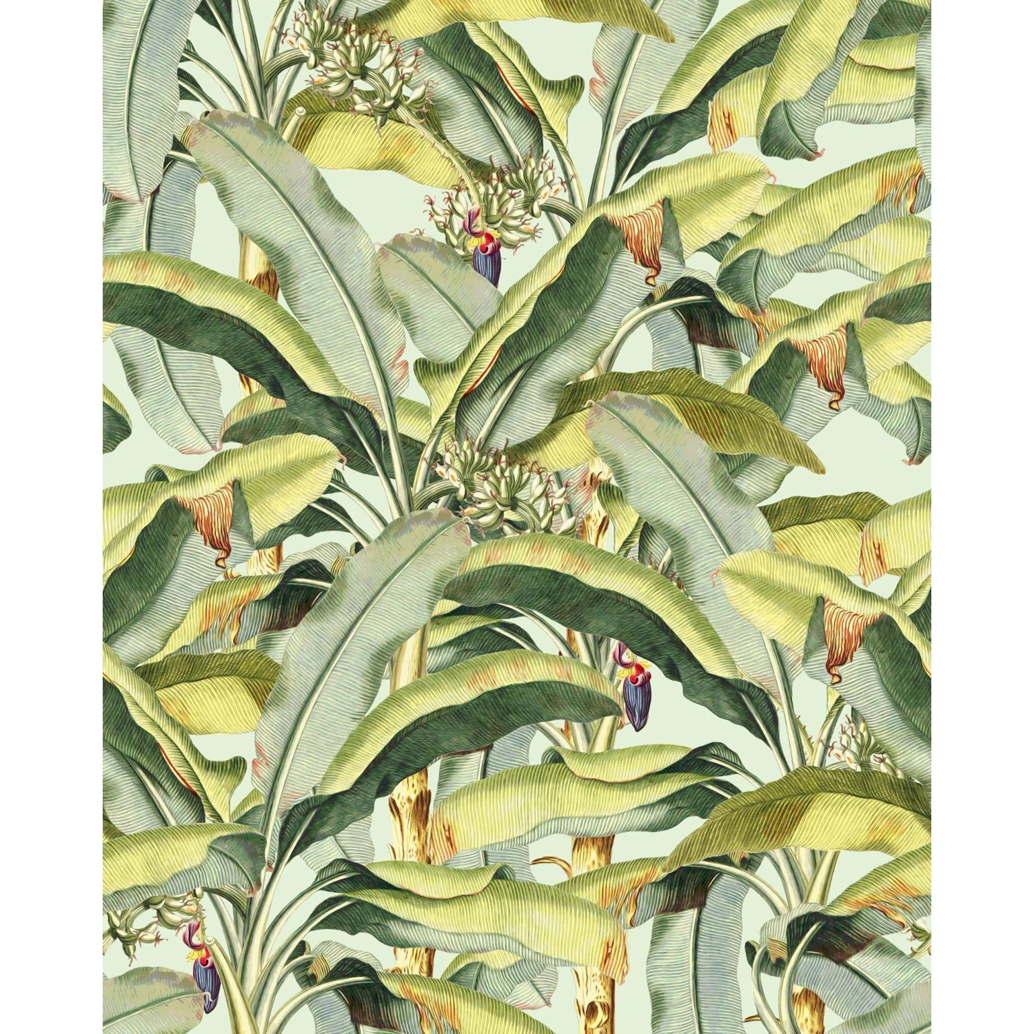 E-shop Komar Vliesová fototapeta Banana Grove 250 x 200 cm