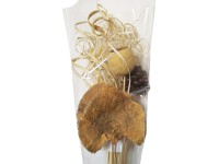 Floristický zväzok na majstrovanie prírodný