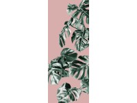 Komar Vliesová fototapeta Monstera Rosé 100 x 250 cm