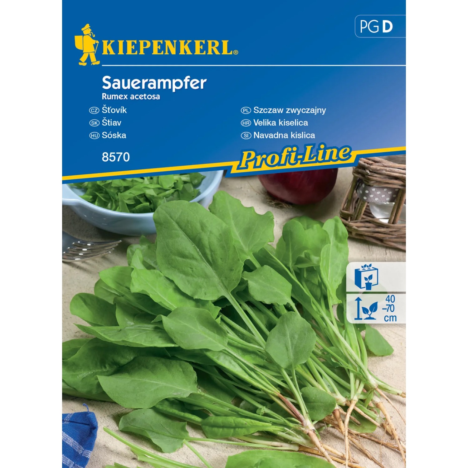 E-shop KIEPENKERL Šťavel (Rumex acetosa) viacročný