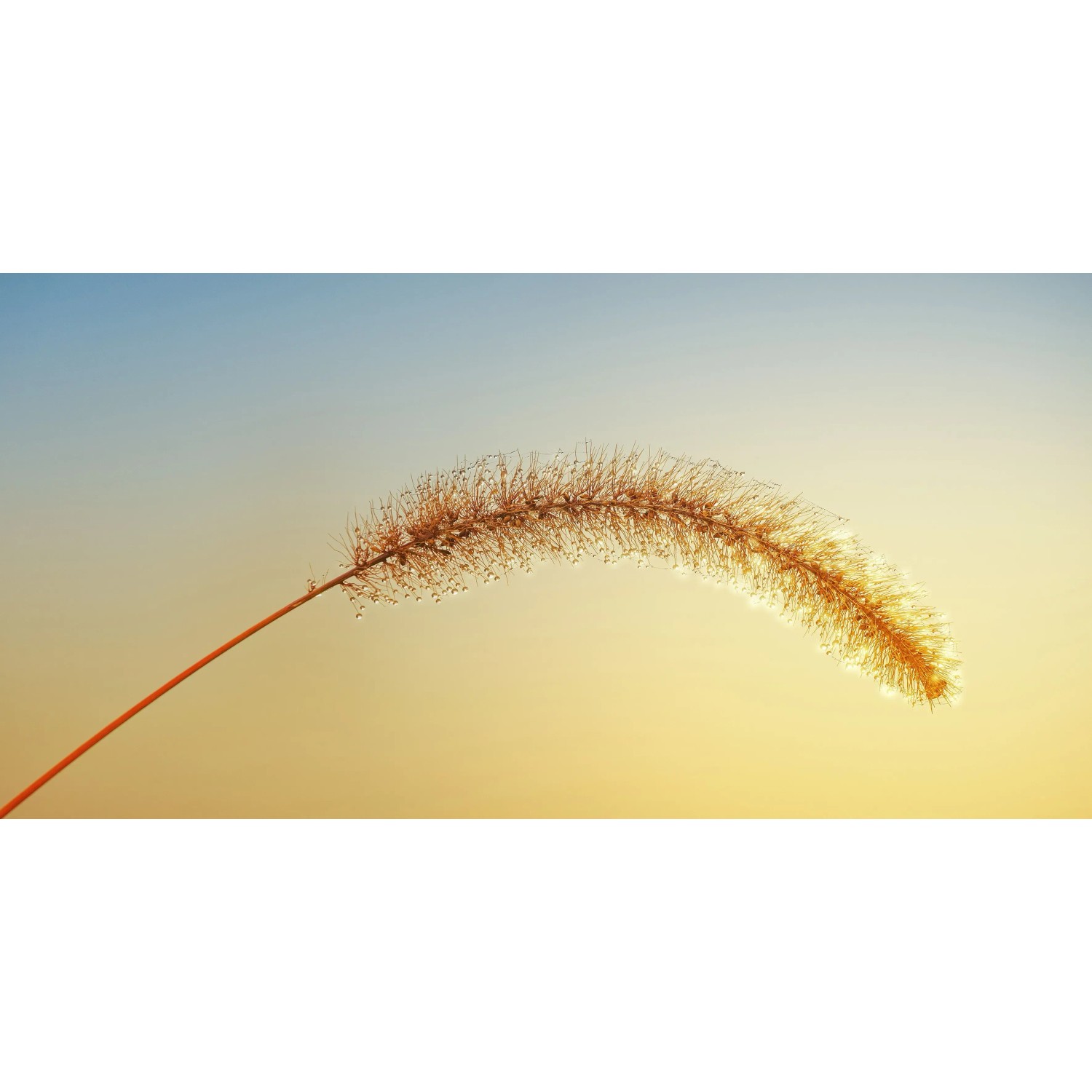 E-shop Bondecor Obraz, tlačené plátno Sun 50 x 100 cm