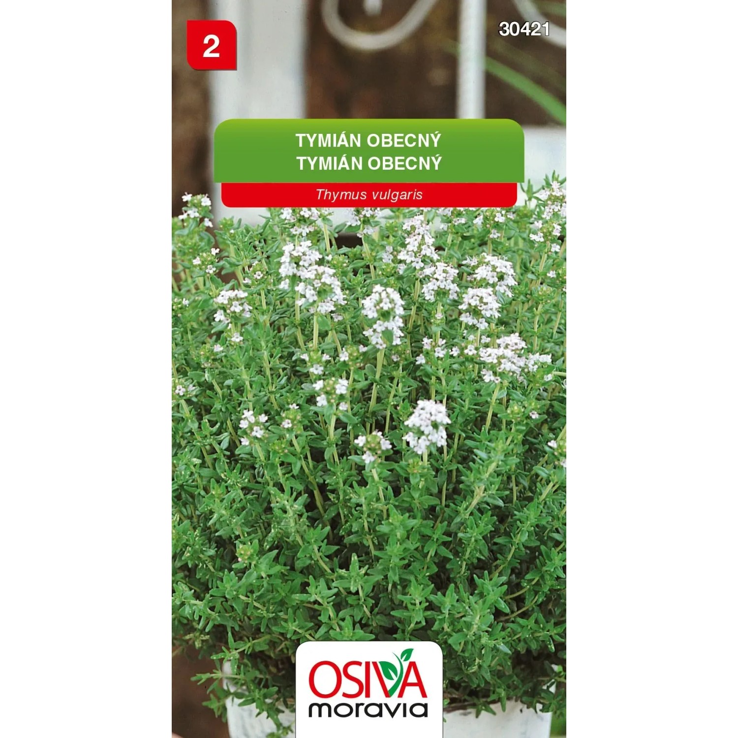 E-shop Osiva Moravia Semienka Tymián obecný (Thymus vulgaris)