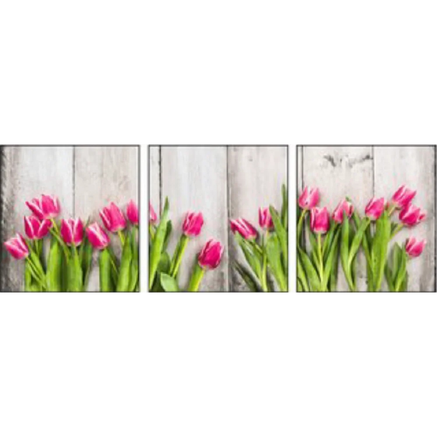 E-shop Bondecor 3dielna súprava obrazov Flora 30 x 90 cm