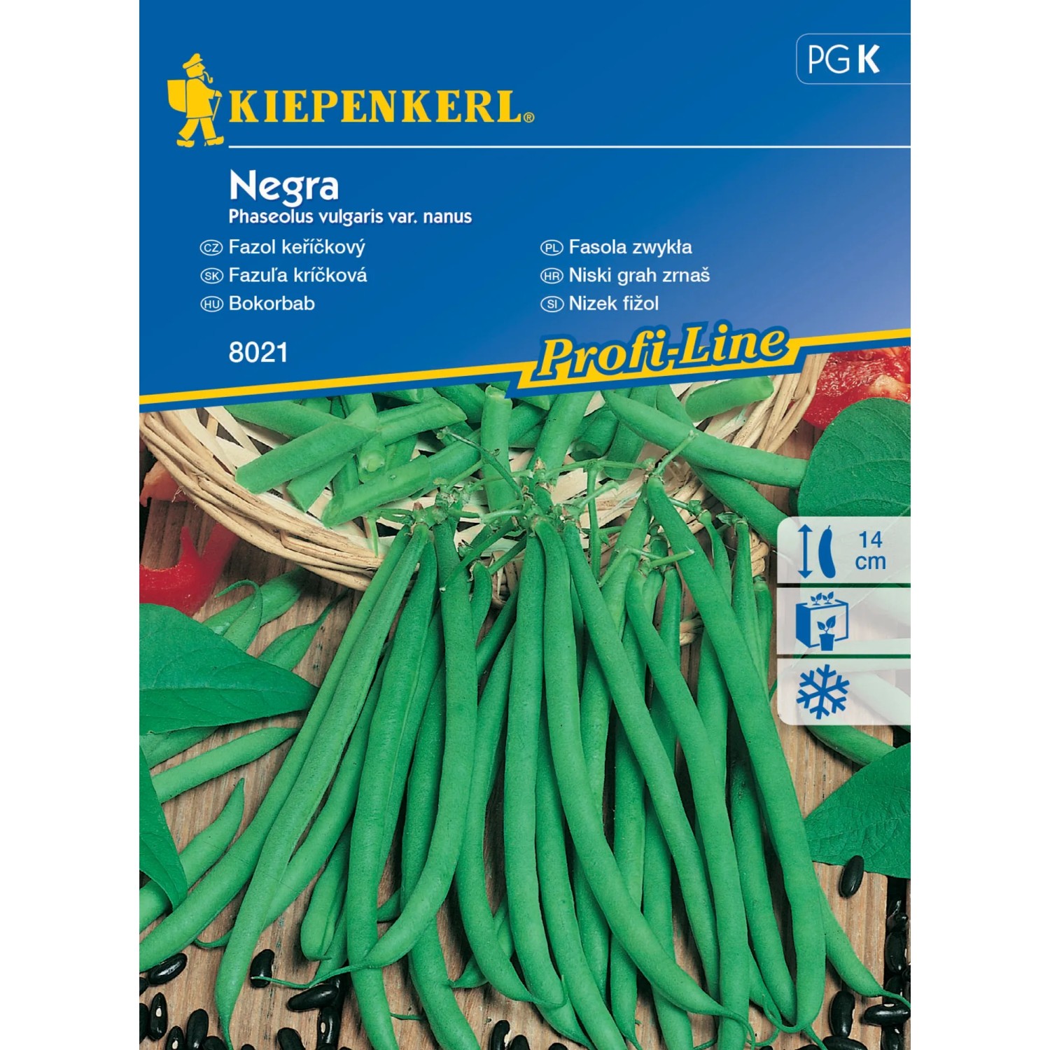E-shop Kiepenkerl Semienka Fazuľa kríčková Negra