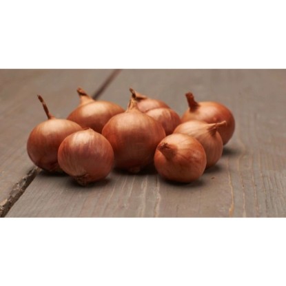 GardenSeed Premium Sadbová šalotka Red Sun 500 g