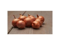 GardenSeed Premium Sadbová šalotka Red Sun 500 g