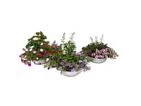 Letný kvetinový aranžmán v zinkovom kvetináči, pr. kv. cca 29 cm