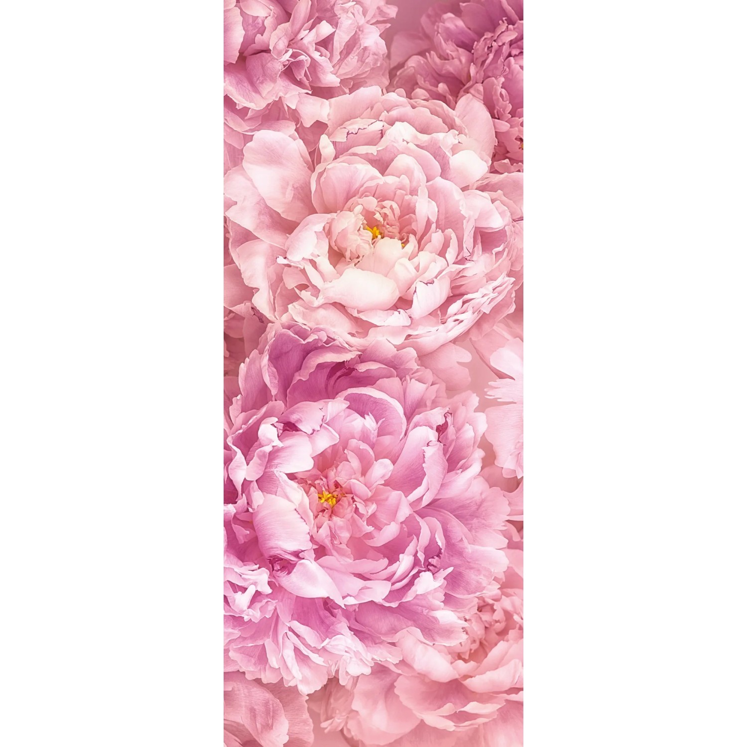 E-shop Komar Vliesová fototapeta Soave 100 x 250 cm
