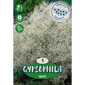 Gypsomilka metlinatá Biela (Gypsophila Paniculata), ideálna pre kvetinové záhony a rabaty.