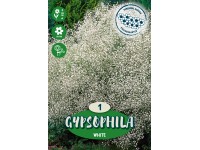Gypsomilka metlinatá Paniculata biela