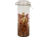 Špirlica v sklenenej nádobe priemer cca 13 cm