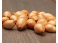 GardenSeed Premium BIO Cibuľa sadzačka Sturon 300 g