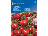 KIEPENKERL Cherry paradajky (Solanum lycopersicum) Cherrola, F1
