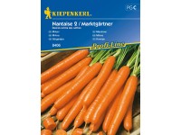 Kiepenkerl Mrkva (Daucus carota spp. sativus) Nantaise 2 / Markgärtner