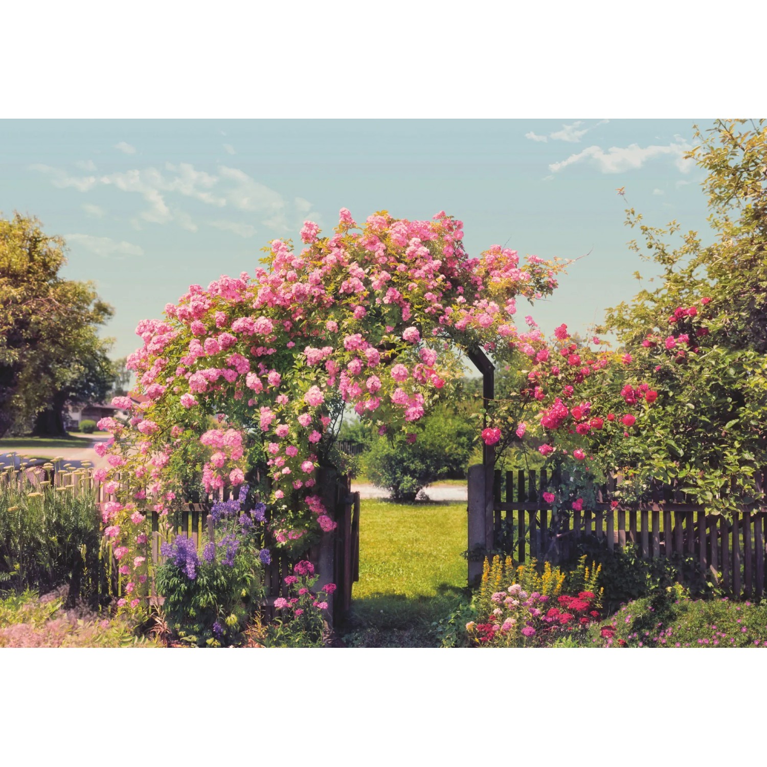 E-shop Komar Papierová fototapeta Rose Garden, 368 x 254 cm