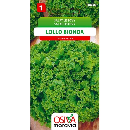 Semienka Šalát listový Lollo Bionda (Lactusa sativa)