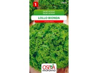 Semienka Šalát listový Lollo Bionda (Lactusa sativa)