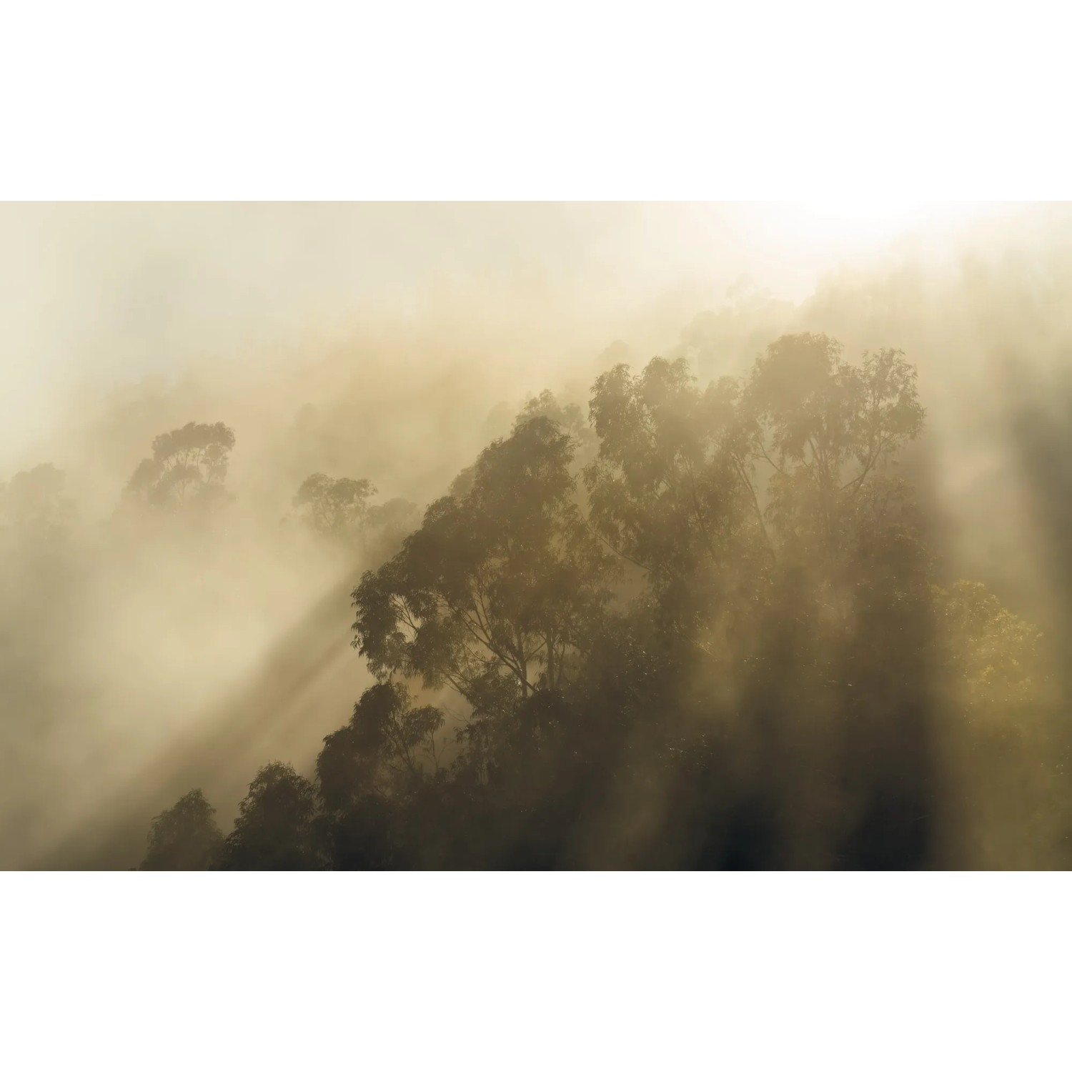 E-shop Komar Vliesová fototapeta Misty Mountain 400 x 250 cm