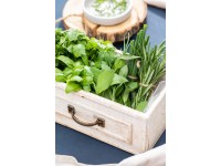 Zmes byliniek v nástennom kvetináči