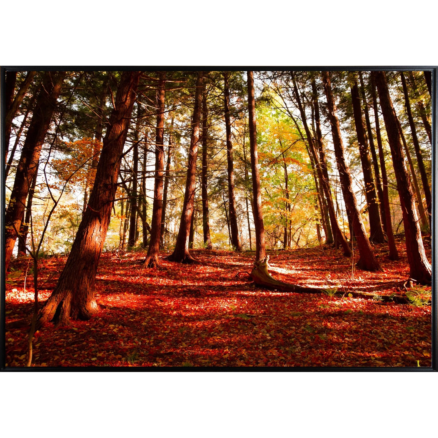 E-shop Bondecor Zarámovaný obraz Shadow Scenerie 59 x 84 cm