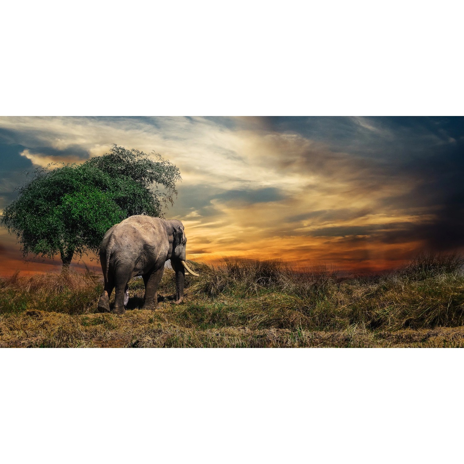E-shop Bondecor Obraz, tlačené plátno Krajina 50 x 100 cm