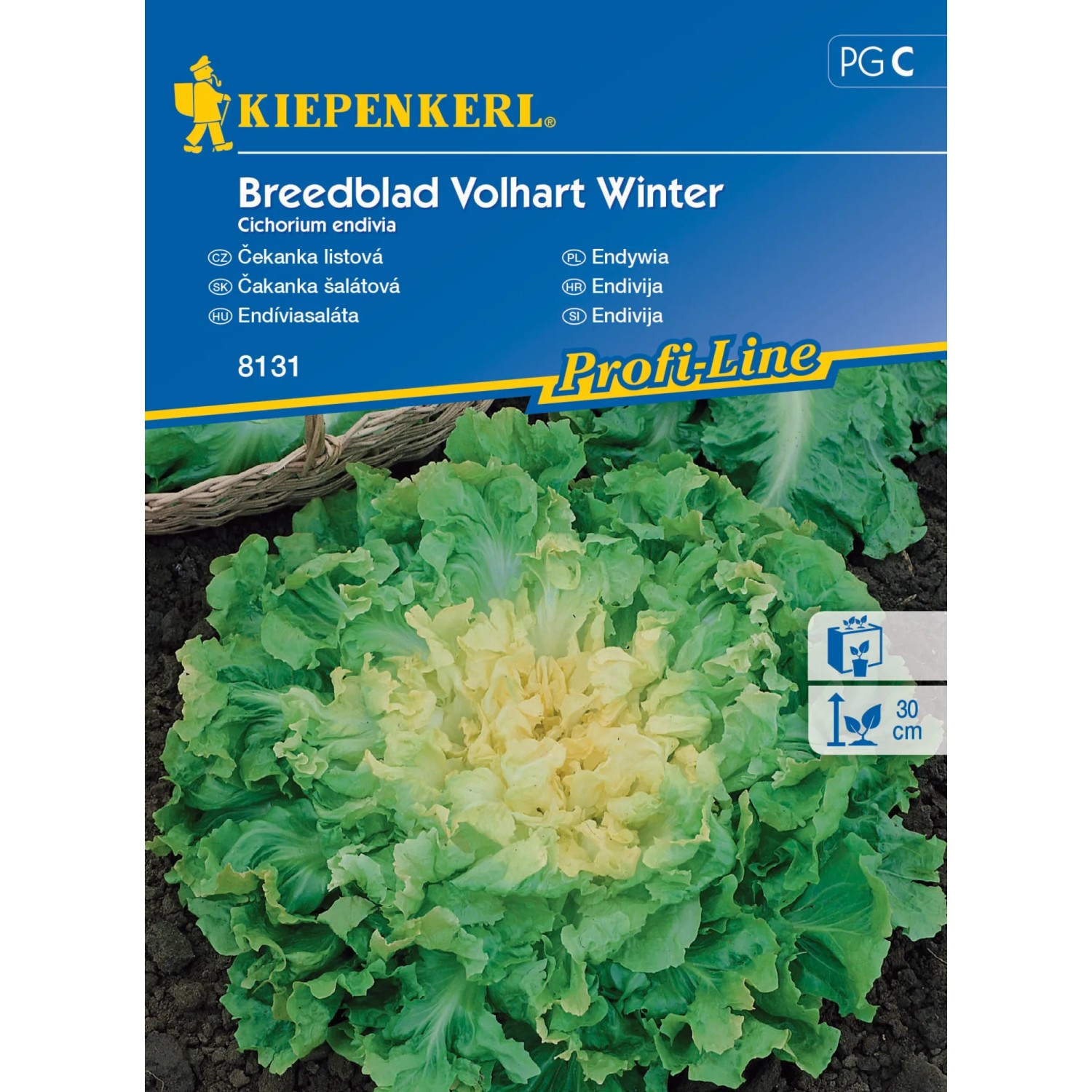 E-shop Kiepenkerl Semienka Čakanka listová Breedblad Volh