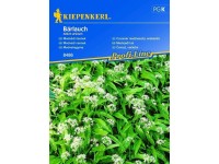 Kiepenkerl Semená Medvedí cesnak