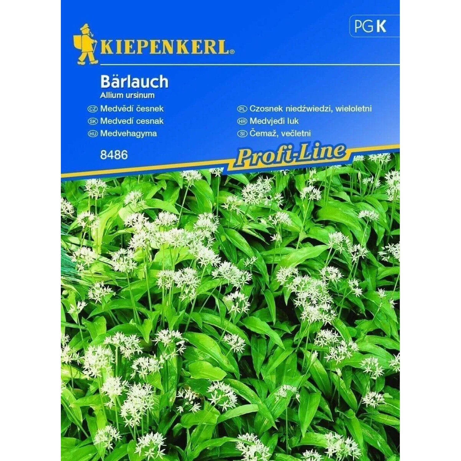 E-shop Kiepenkerl Semená Medvedí cesnak