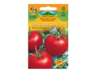 Rajčiak kolíkový do fóliovníka HARDY F1 - hybrid