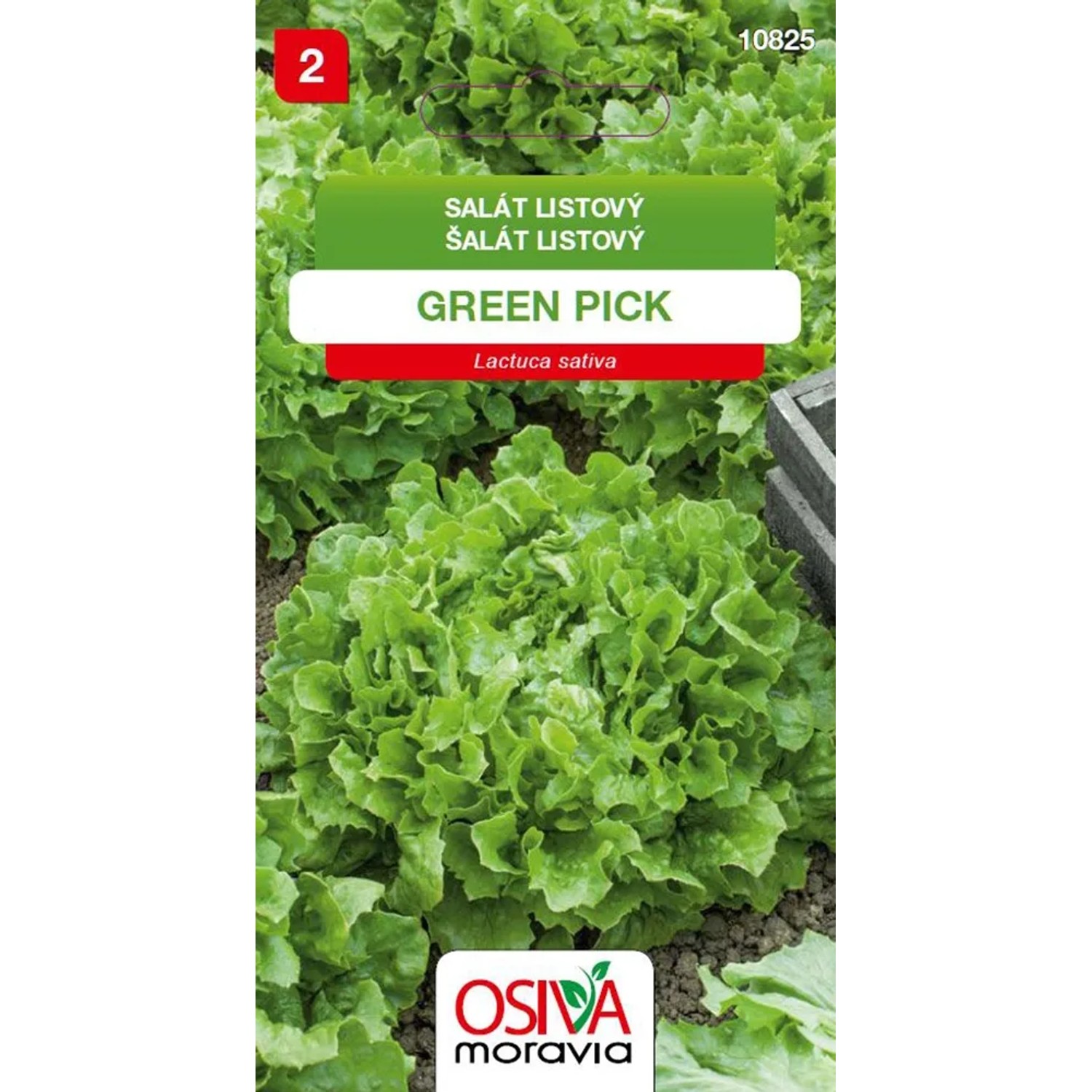 E-shop OSIVA Moravia Šalát listový "Green Pick" (Lactuca sativa)