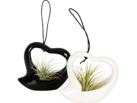 Tilandsia v závesnom kvetináči v tvare srdca