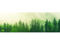 Bondecor Obraz, tlačené plátno Style 50 x 150 cm