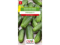 Semienka Uhorka nakladačka Frykas F1 (Cucumis sativus L.)