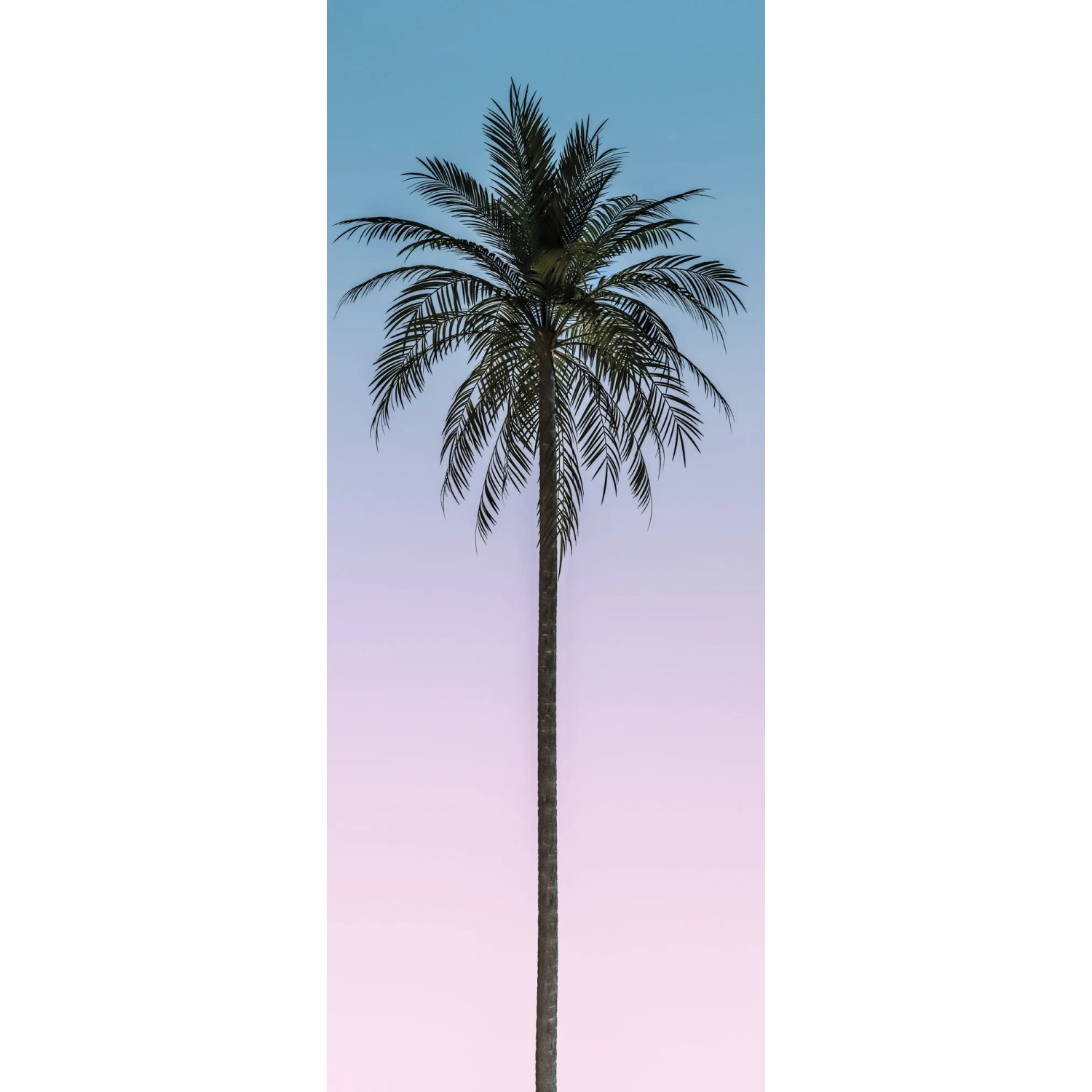 E-shop Komar Vliesová fototapeta Skyhigh 100 x 250 cm