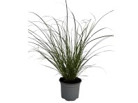 GROW by OBI Ostrice Howardovej 