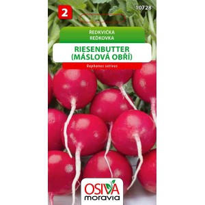 Balíček semien reďkovky 'Riesenbutter' – chrumkavá zelenina do záhrady.