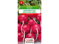 Semienka Reďkovka Riesenbutter-maslová obria (Raphanus sativus)