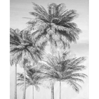 Komar Vliesová fototapeta Cocco 200 x 250 cm