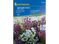 Kiepenkerl Lobulária prímorská Aphrodite Series